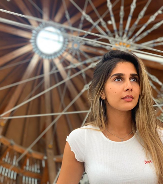 Msd thesis 2019 picture