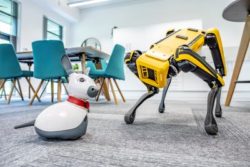 two animal character robots interacting
